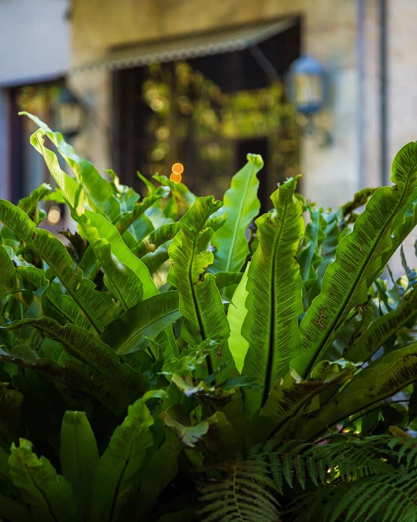 villa necchi milan modernisme italie